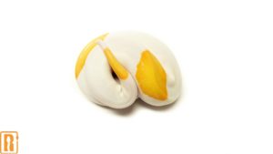 Albino Pied